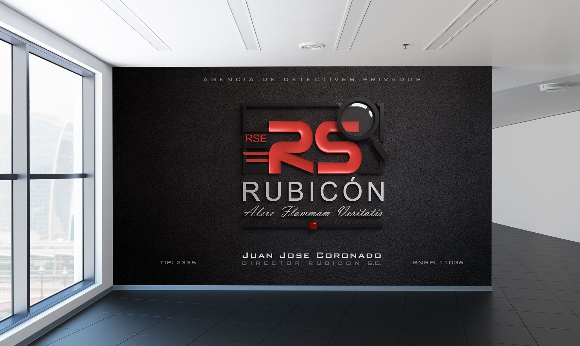 Rubicón Detectives